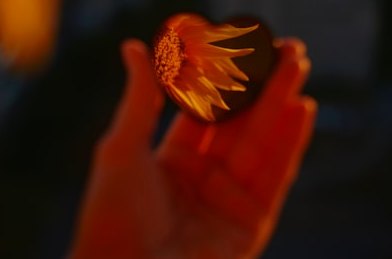 博天堂官方网站智能NPC自主交易系统的架构设计与合规实现
